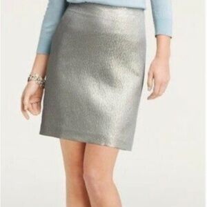 Ann Taylor Silver Silk Mini Skirt NWOT